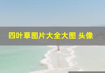 四叶草图片大全大图 头像